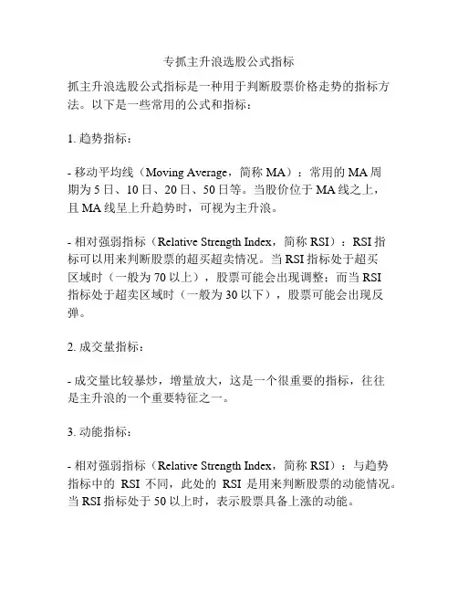 专抓主升浪选股公式指标