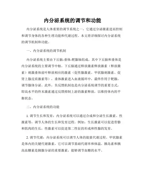 内分泌系统的调节和功能