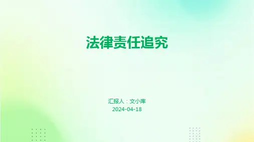 法律责任追究.pptx