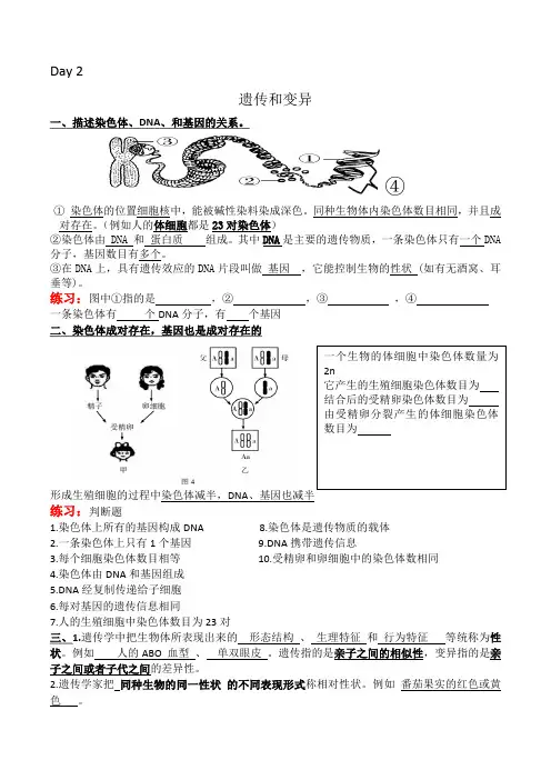 遗传和进化知识点及练习人教版生物八年级下册