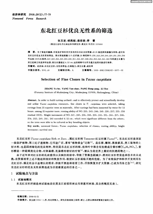 东北红豆杉优良无性系的筛选