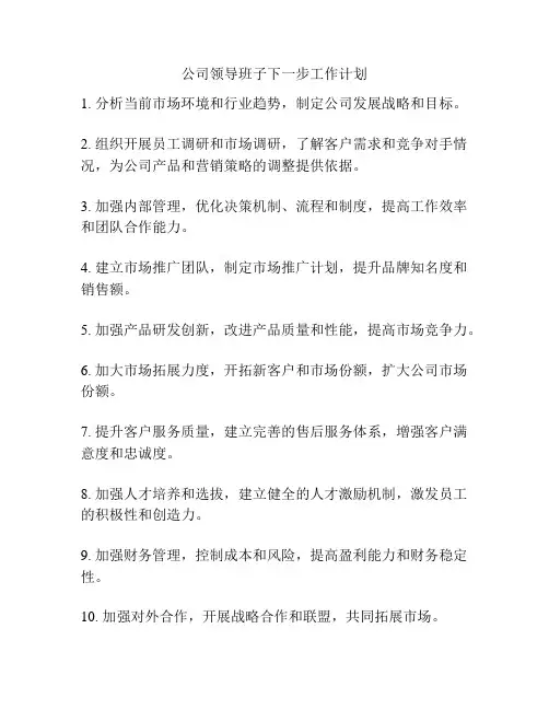 公司领导班子下一步工作计划