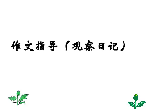 作文指导(观察日记)PPT课件