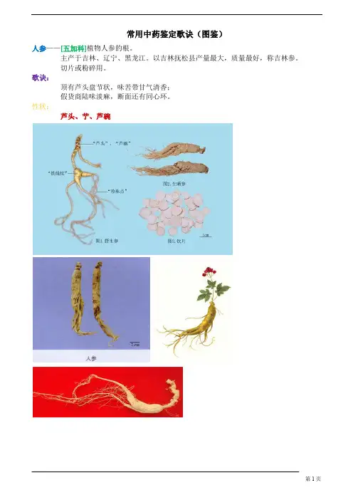 常用中药鉴定歌诀(附图鉴)