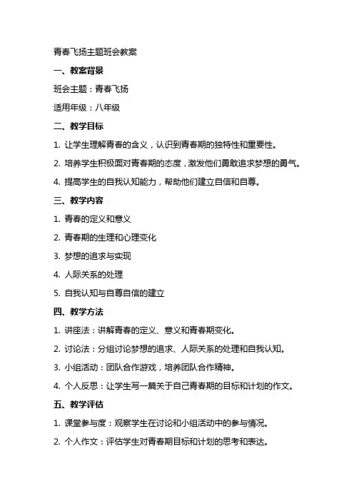 青春飞扬主题班会教案
