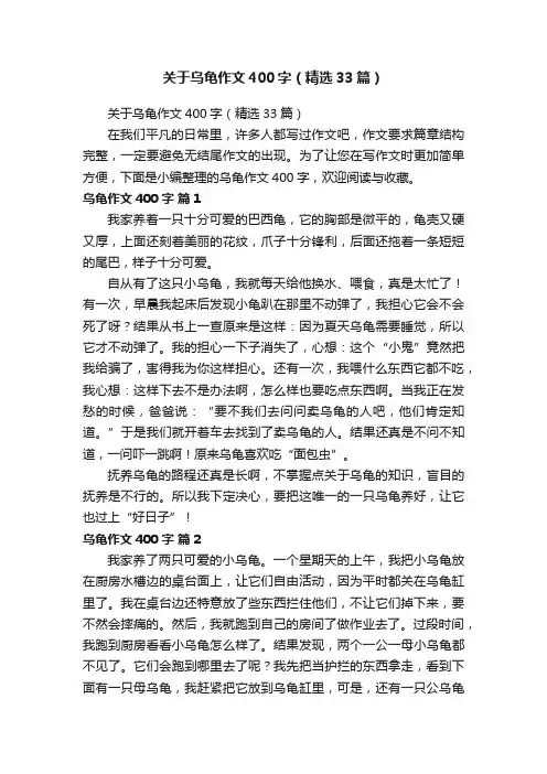 关于乌龟作文400字（精选33篇）