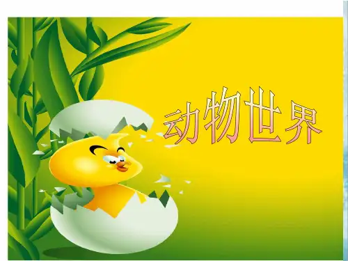 《动物世界》PPT课件