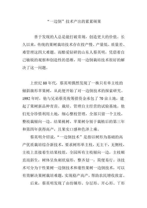 “一边倒”技术产出的累累硕果