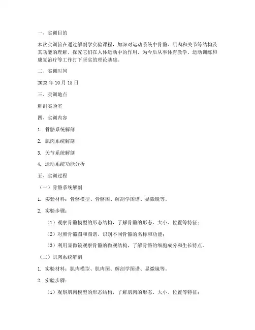运动解剖学的实训报告范文