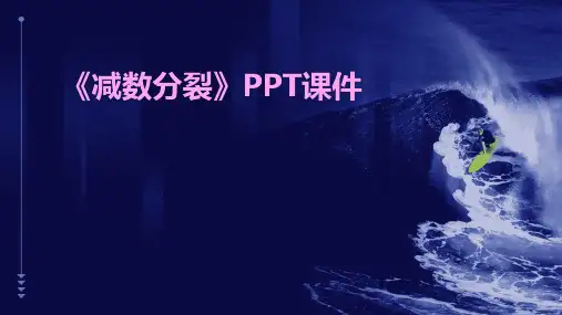《减数分裂》课件
