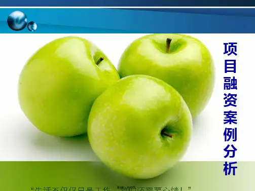 BOT项目融资案例---西安地铁项目