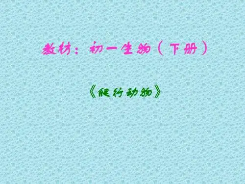 爬行动物PPT课件 苏科版