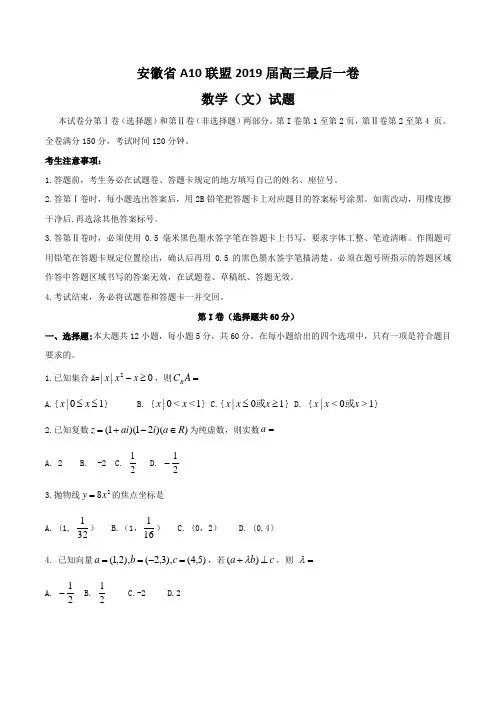 安徽省A10联盟2019届高三最后一卷  数学(文)含答案