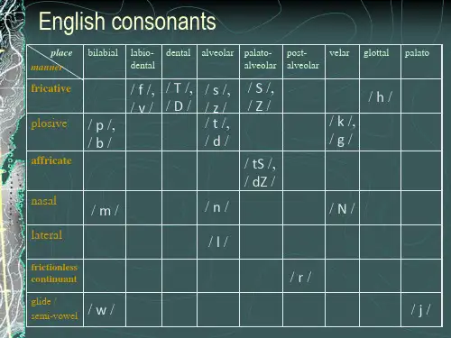 语音学辅音连缀consonant clusters