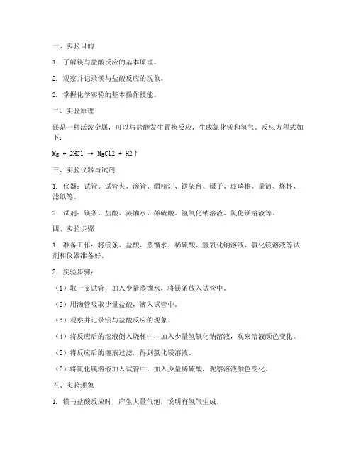 镁_实验报告