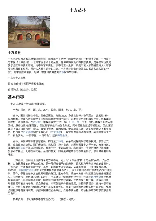 十方丛林——精选推荐