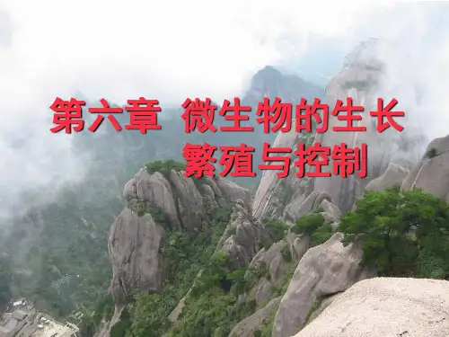 沈萍微生物学第六章PPT课件
