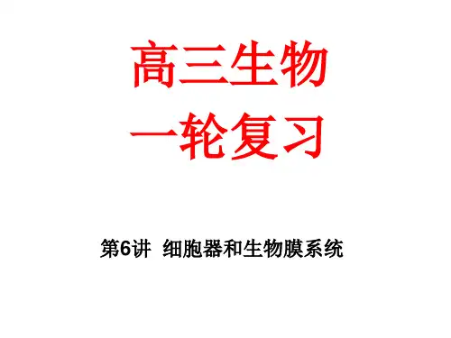 第6讲：细胞器与生物膜系统   高三一轮复习
