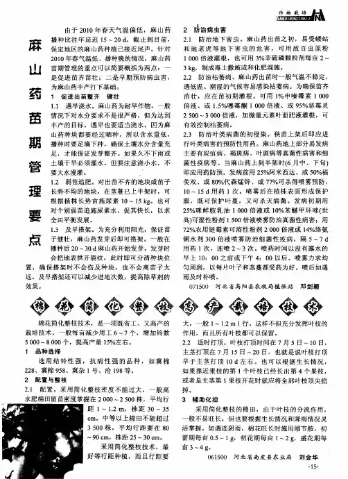 麻山药苗期管理要点