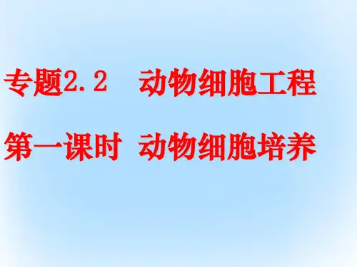 高中生物 专题2.2 动物细胞工程(第1课时)动物细胞培养课件 新人教版选修3