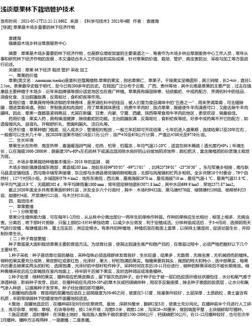 浅谈草果林下栽培管护技术