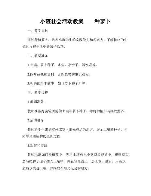 小班社会活动教案——种萝卜