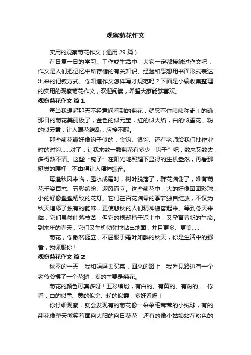 实用的观察菊花作文（通用29篇）