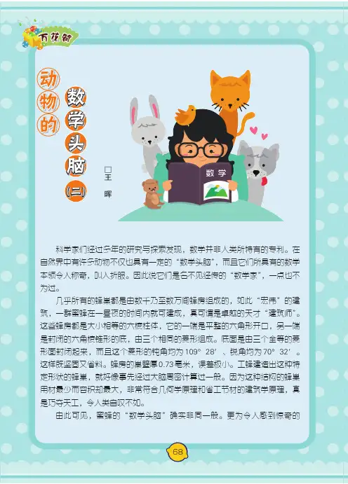 动物的数学头脑(二)