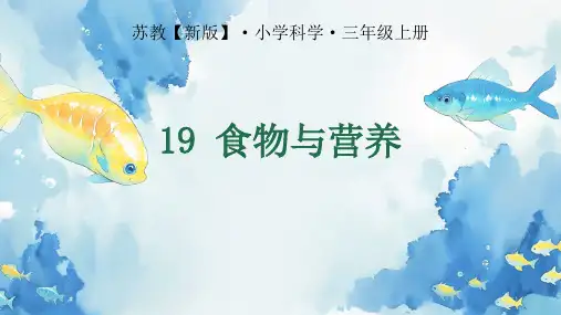 食物与营养ppt课件