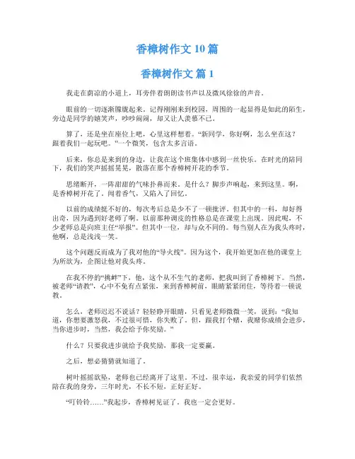 香樟树作文10篇