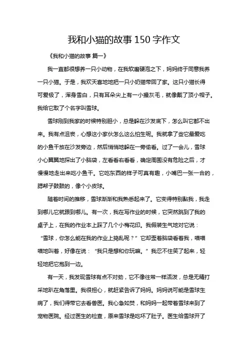 我和小猫的故事150字作文