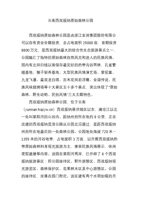 云南西双版纳原始森林公园