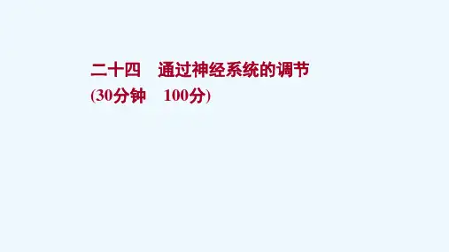 2022版高考生物一轮复习课时作业二十四通过神经系统的调节课件新人教版