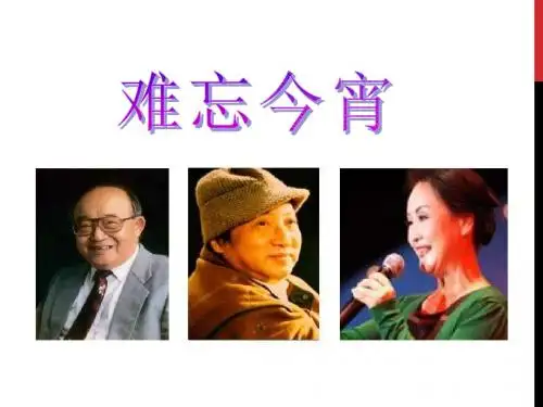 《难忘今宵》PPT课件2