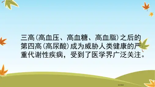 高血压合并高尿酸ppt课件.pptx