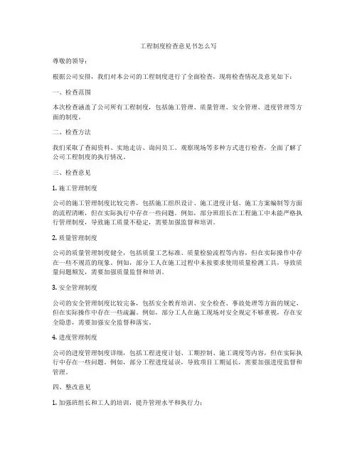 工程制度检查意见书怎么写