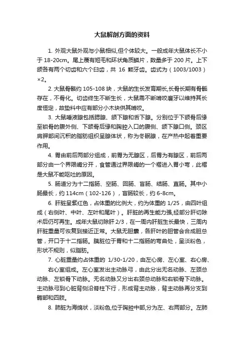 大鼠解剖方面的资料
