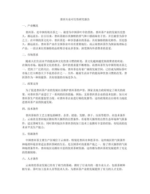 普洱专业可行性研究报告