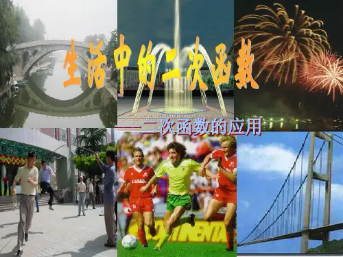26.3实际问题与一元二次方程