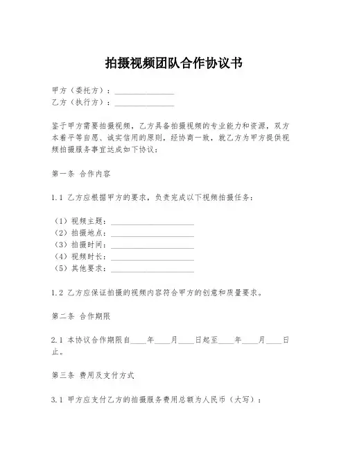 拍摄视频团队合作协议书