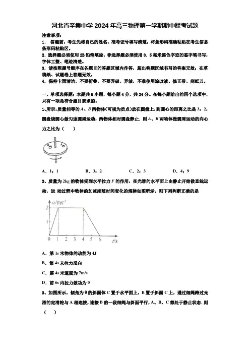 河北省辛集中学2024年高三物理第一学期期中联考试题含解析
