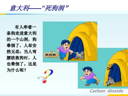 鲁教版(五四制)八年级化学 6.3大自然中的二氧化碳 课件  (共18张PPT)