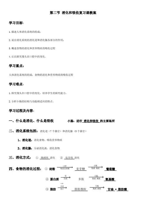 生物人教版七年级下册消化和吸收复习课教案