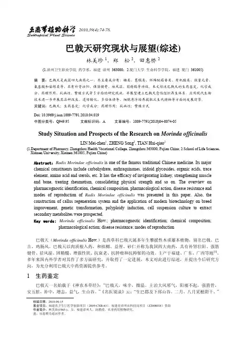 巴戟天研究现状与展望_综述_