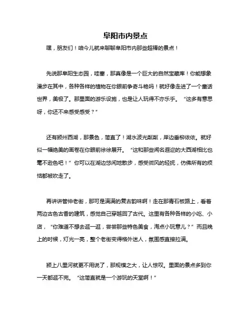 阜阳市内景点