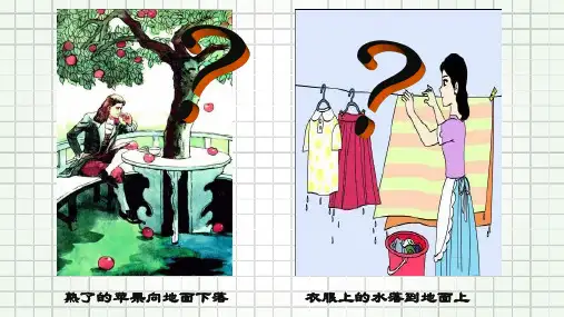 第七章第三节重力 课件 人教版物理八年级下册(共24张PPT)