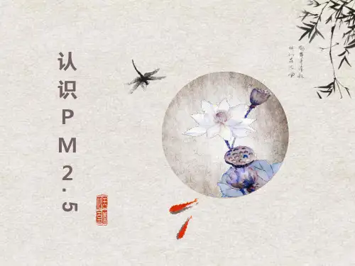 大气中的PM25以及对人体的危害