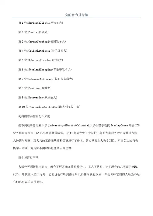 狗的智力排行榜