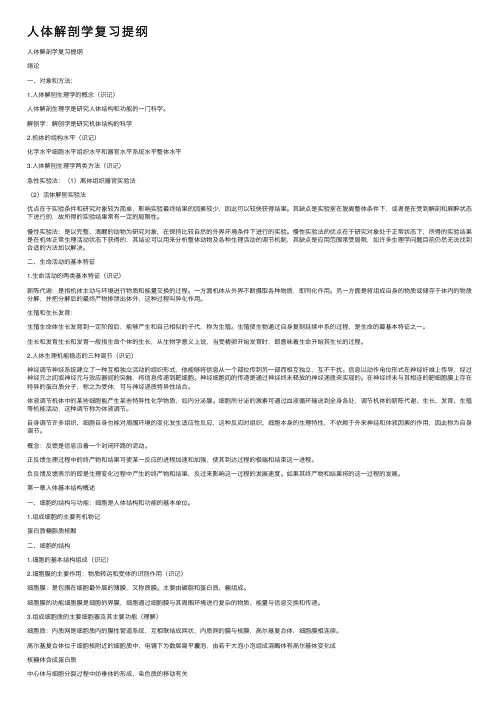 人体解剖学复习提纲