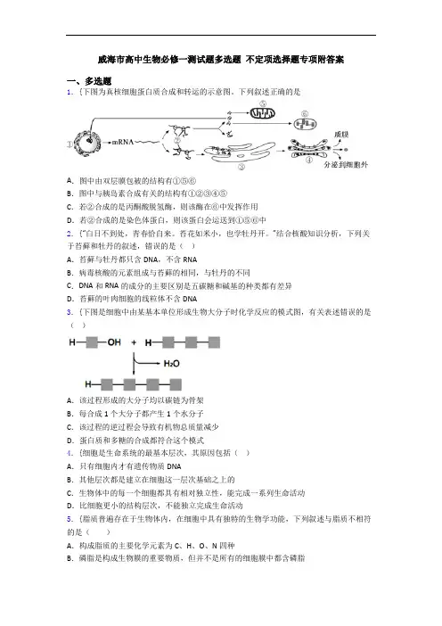 威海市高中生物必修一测试题多选题 不定项选择题专项附答案